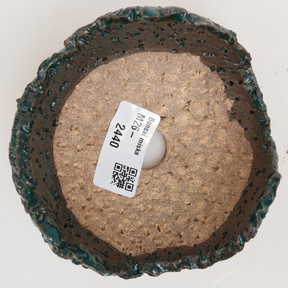 Coquille en céramique  10 x 10 x 6,5 cm, couleur verte