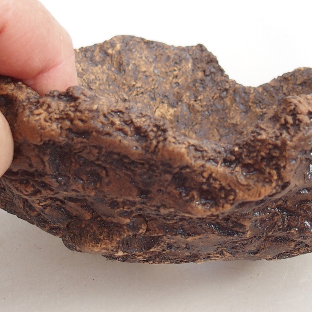 Coquille en céramique 18 x 18 x 12 cm , couleur marron