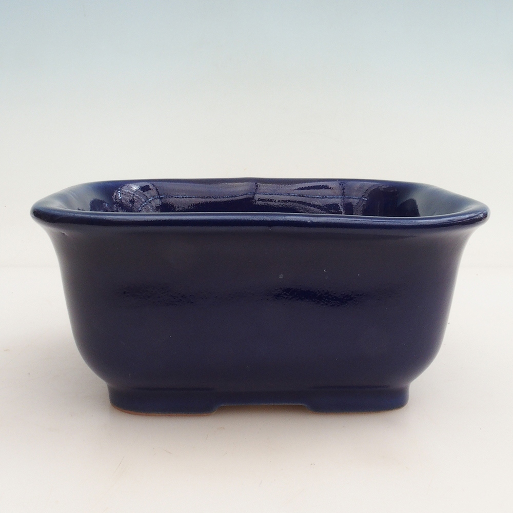 Coupe Bonsaï H36 - 17 x 15 x 7,5 cm - bleu