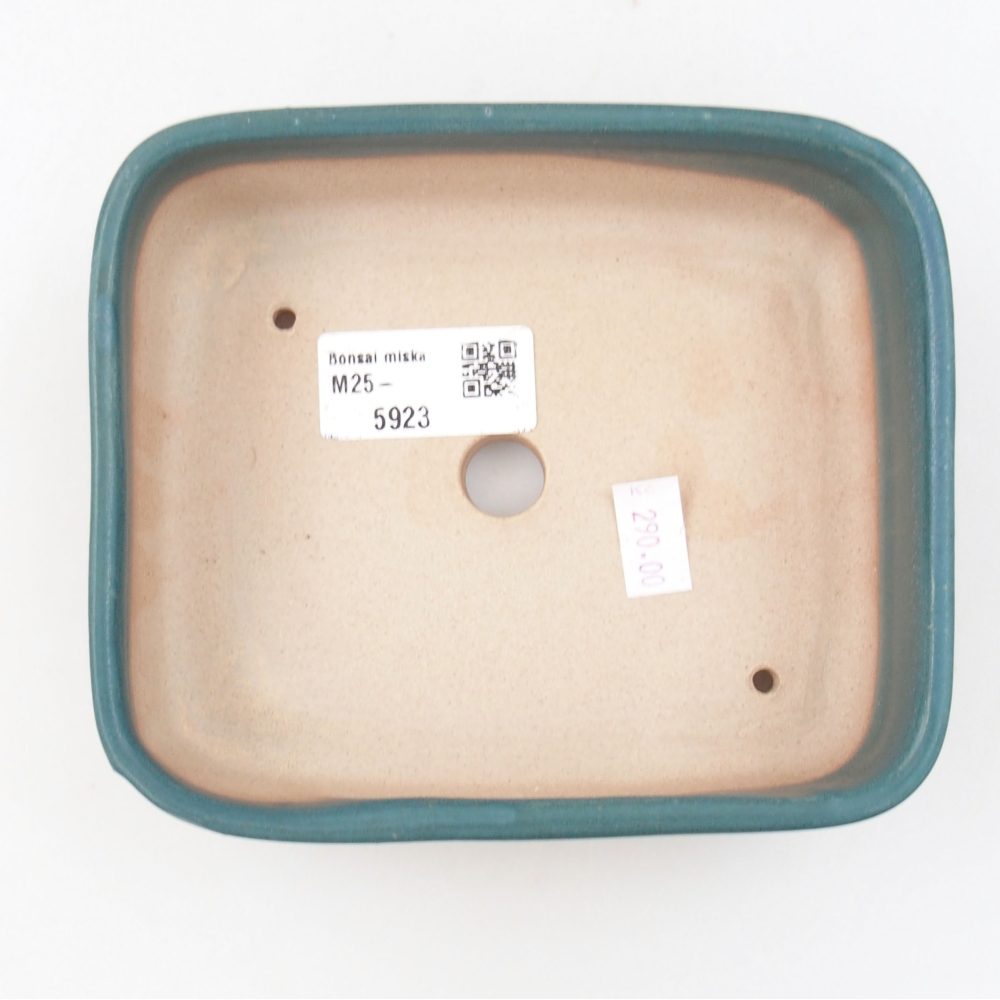 Bol à bonsaï en céramique 22 x 17 x 5 cm, vert