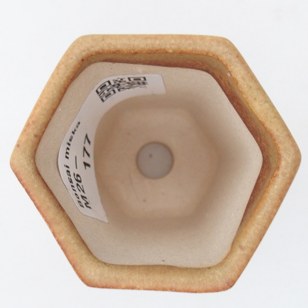 Mini bol bonsaï 5 x 4,5 x 6,5 cm, brun