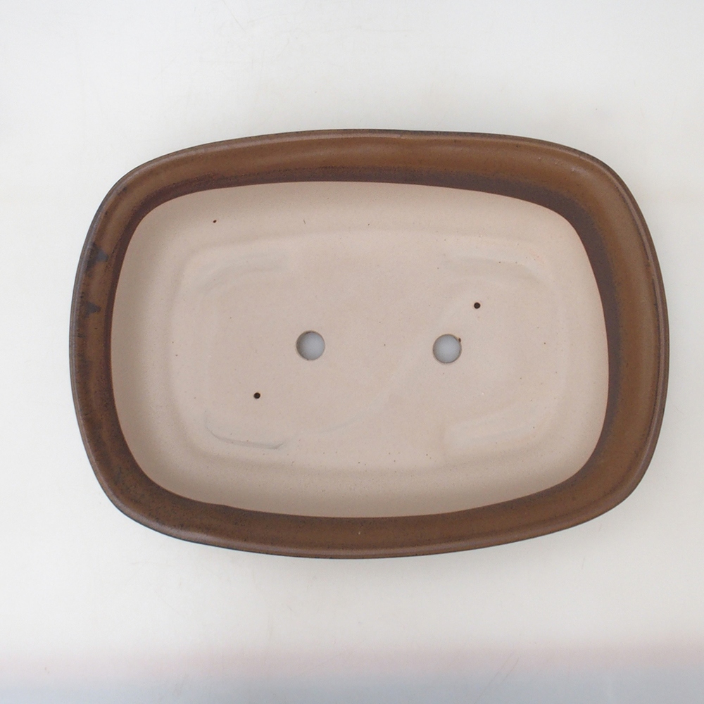 Coupe bonsaï H10 - 37 x 28 x 9 cm - marron