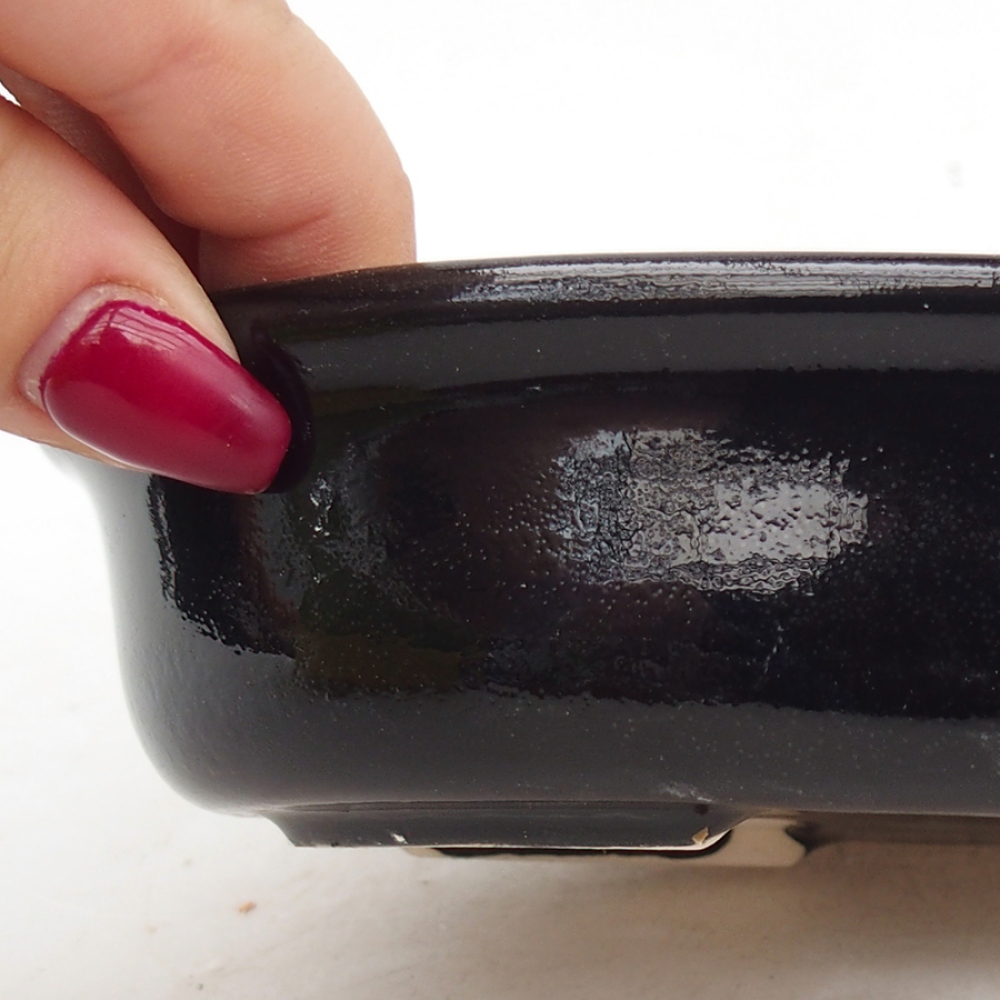 Bol à bonsaï en céramique 15 x 11 x 3,5 cm, couleur noire