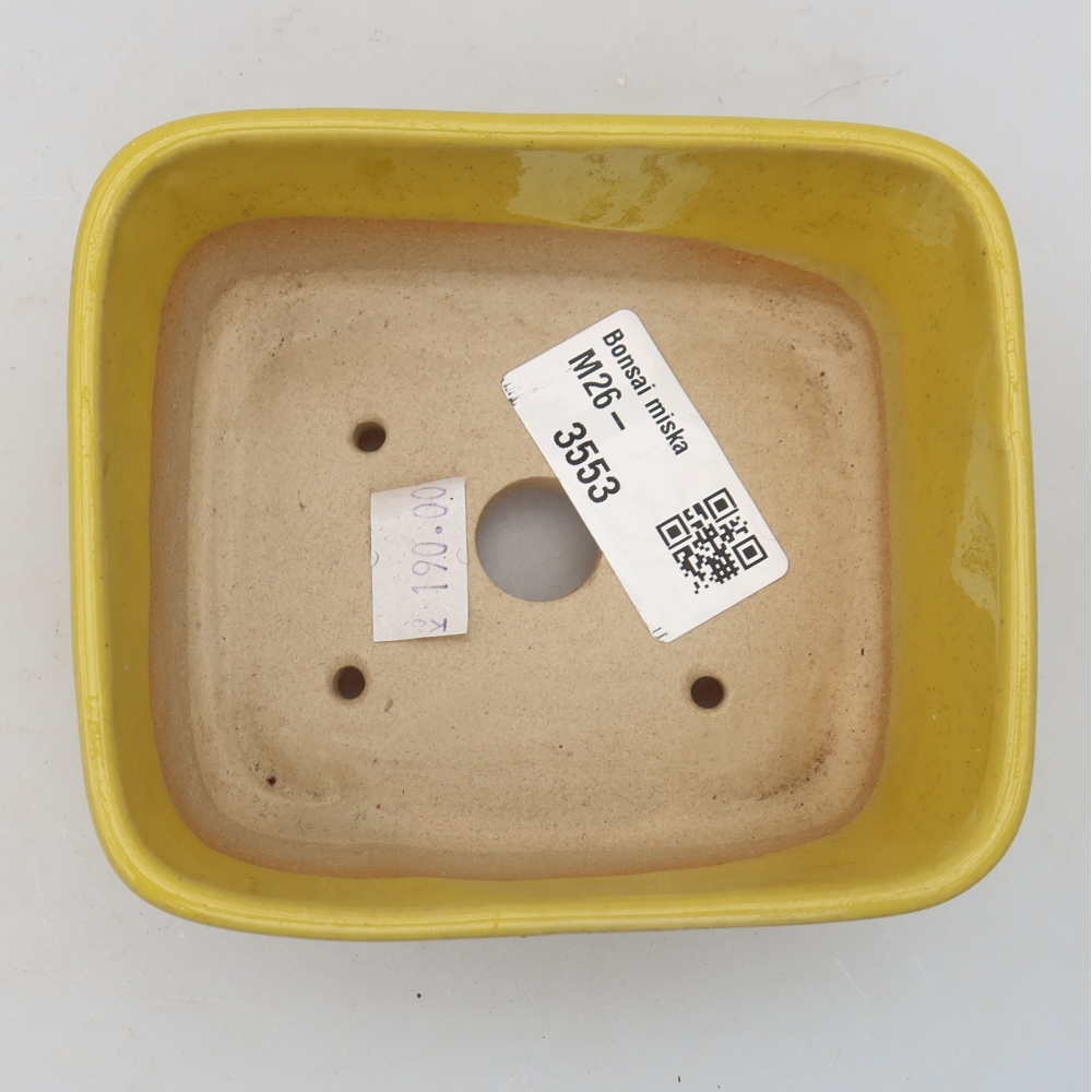 Pot à bonsaï en céramique 10,5 x 8,5 x 4 cm, couleur jaune