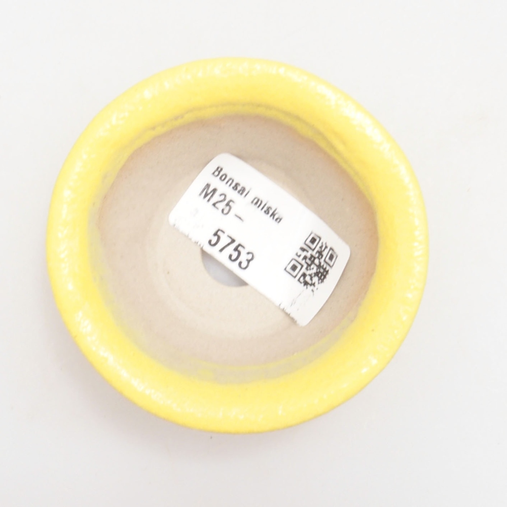 Bol à bonsaï en céramique 7 x 7 x 2,5 cm, jaune