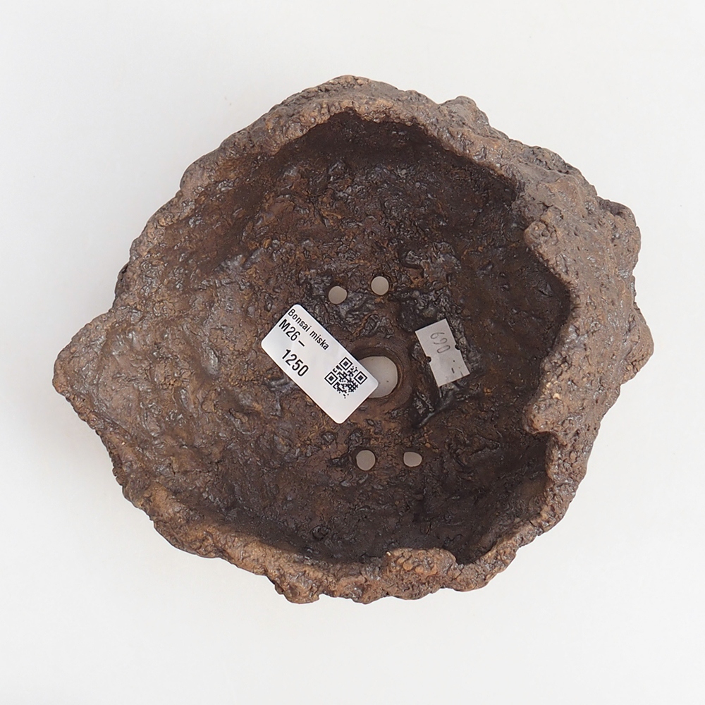 Coquille en céramique 16 x 14 x 14 cm , couleur marron