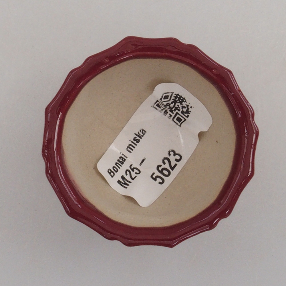 Mini bol bonsaï 5 x 5 x 3 cm, bordeaux