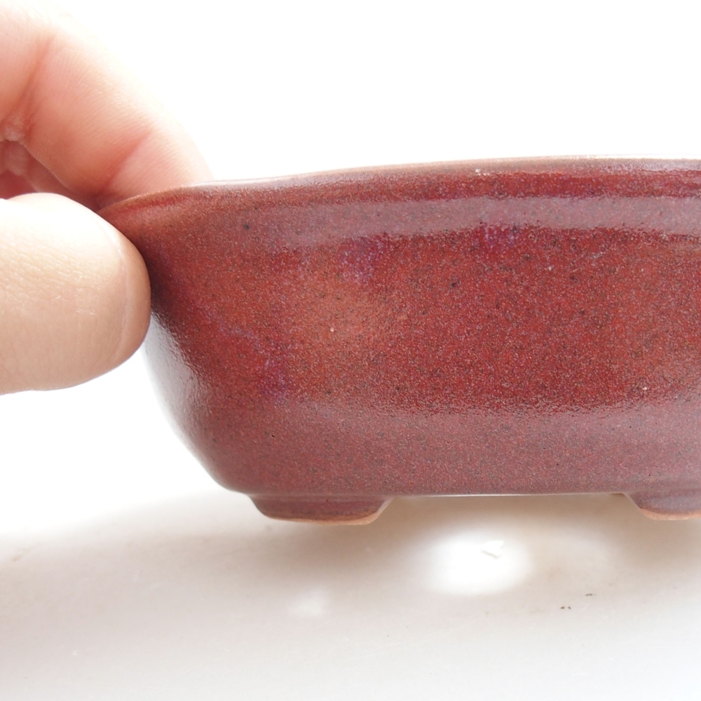 Bol à bonsaï en céramique 22 x 17 x 5 cm, vert