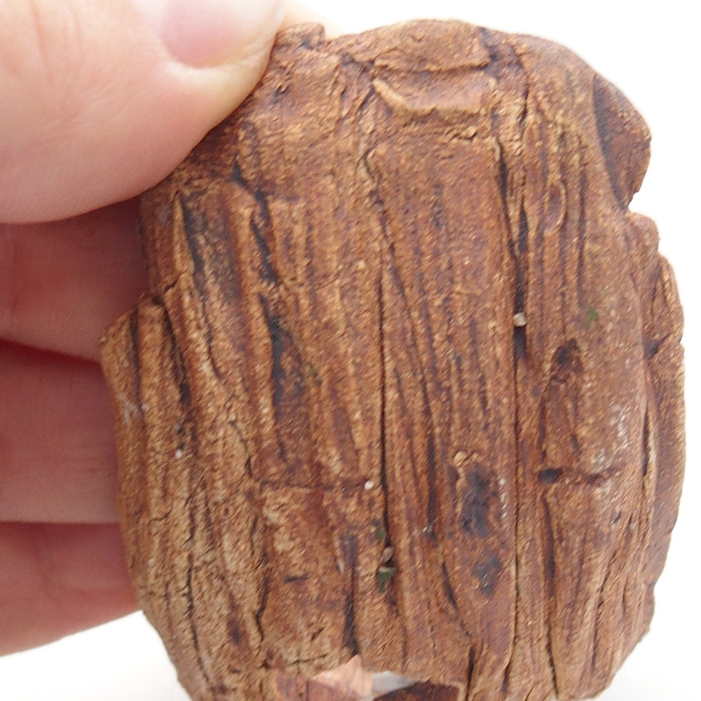 Coquille en céramique 9 x 4,5 x 4,5 cm , couleur marron