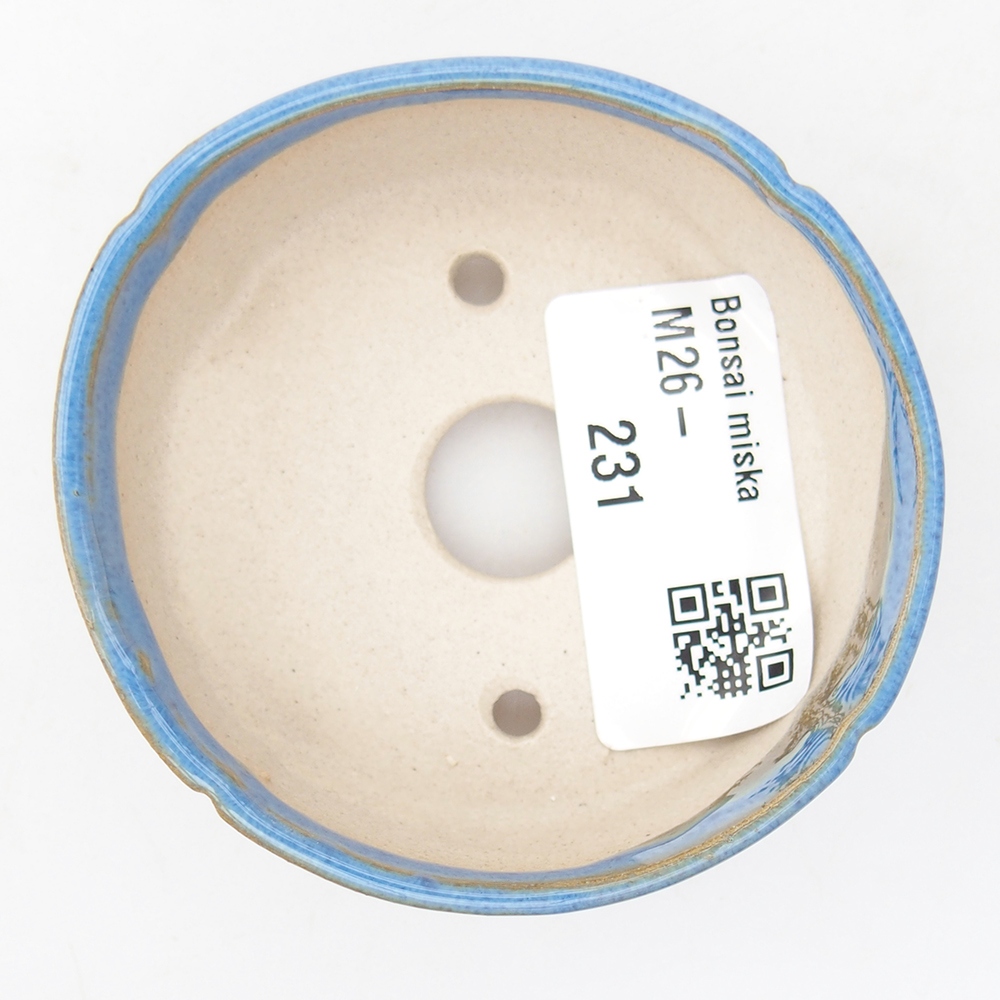 Mini bol bonsaï 6,5 x 6,5 x 2,5 cm, couleur bleu