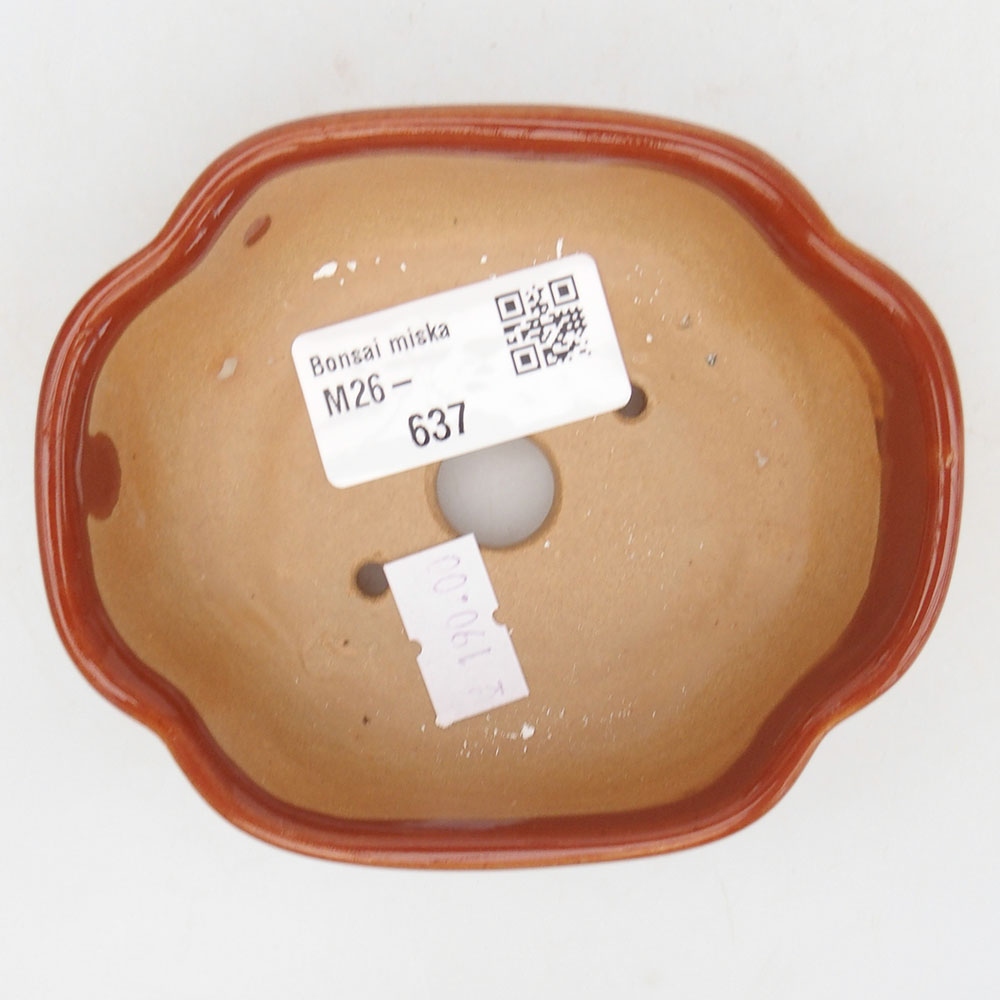 Bol à bonsaï en céramique 125 x 10 x 3 cm, brun