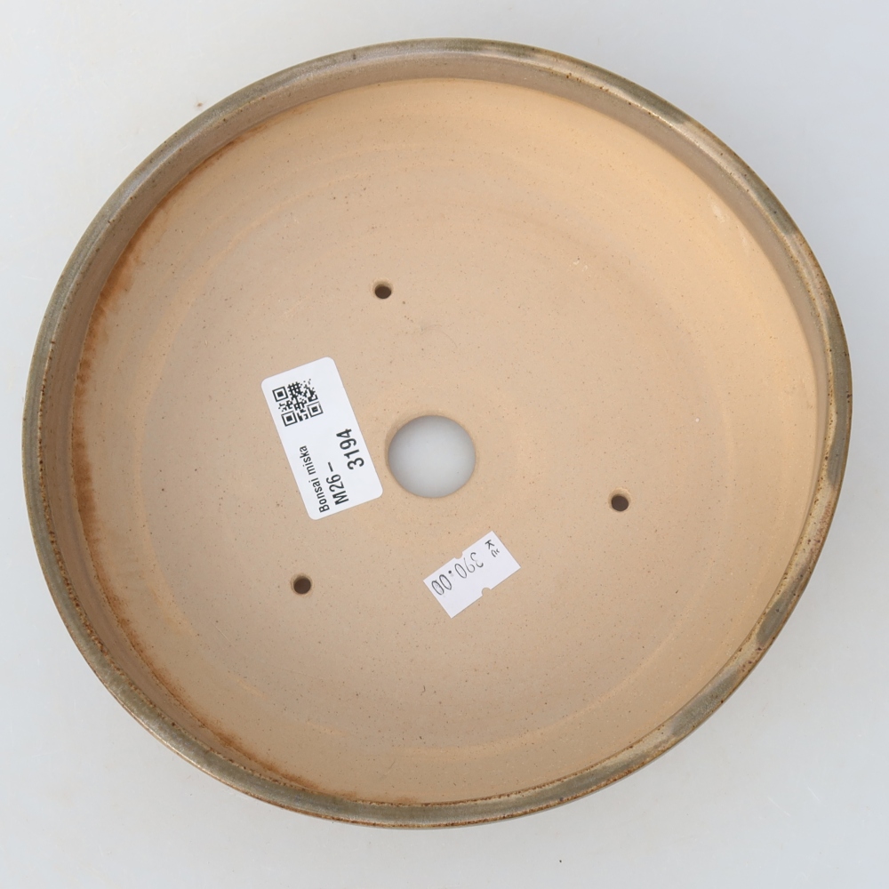 Pot à bonsaï en céramique 19 x 19 x 5,5 cm, couleur beige