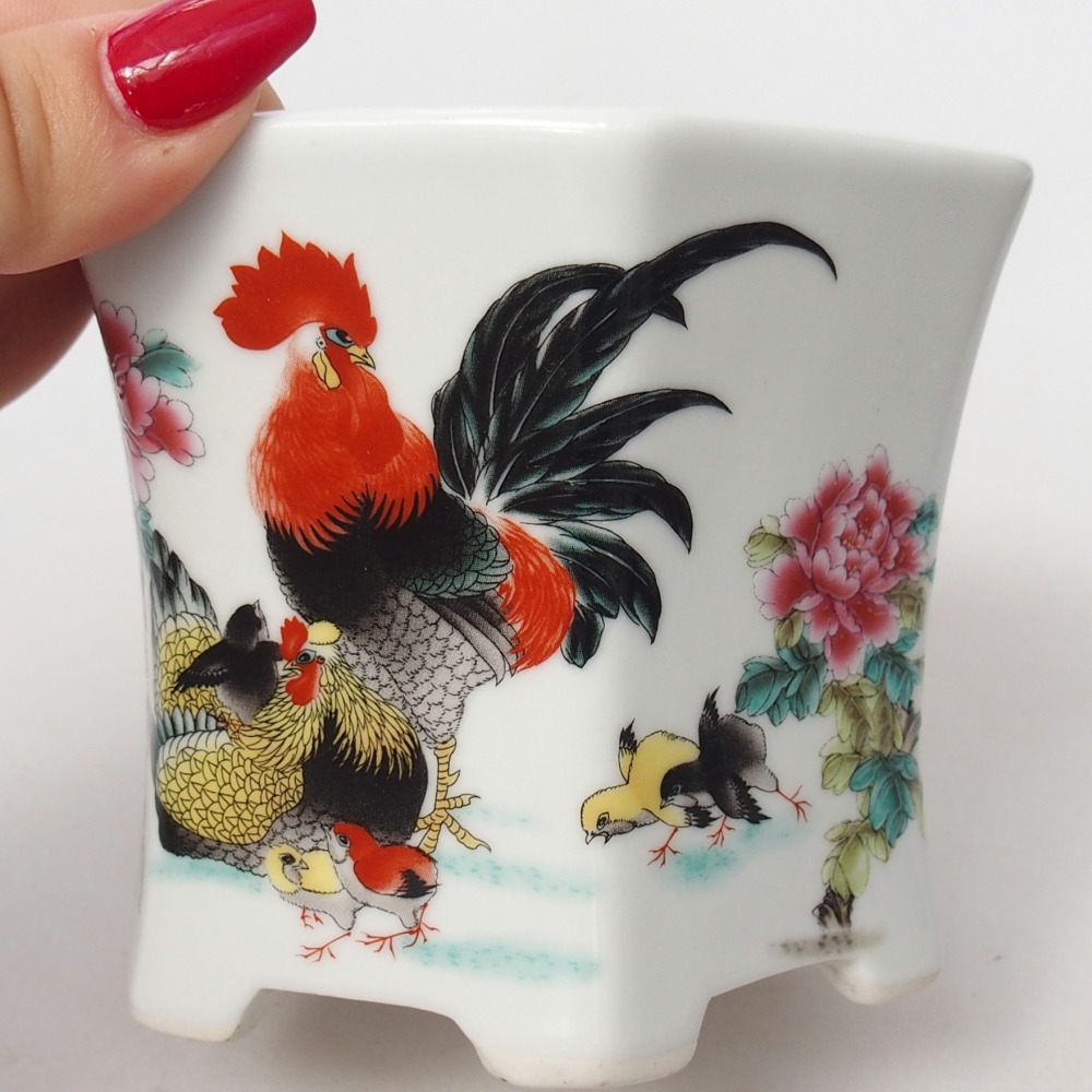 Bol à bonsaï en céramique 10,5 x 9,5 x 9 cm, couleur blanc