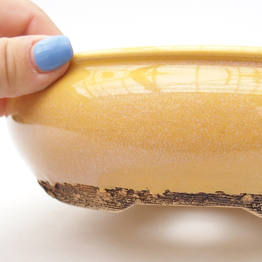 Bol à bonsaï en céramique 18,5 x 18,5 x 6 cm, jaune