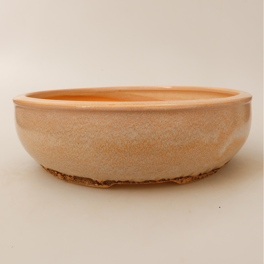 Bol à bonsaï en céramique 24 x 24 x 7 cm, couleur beige