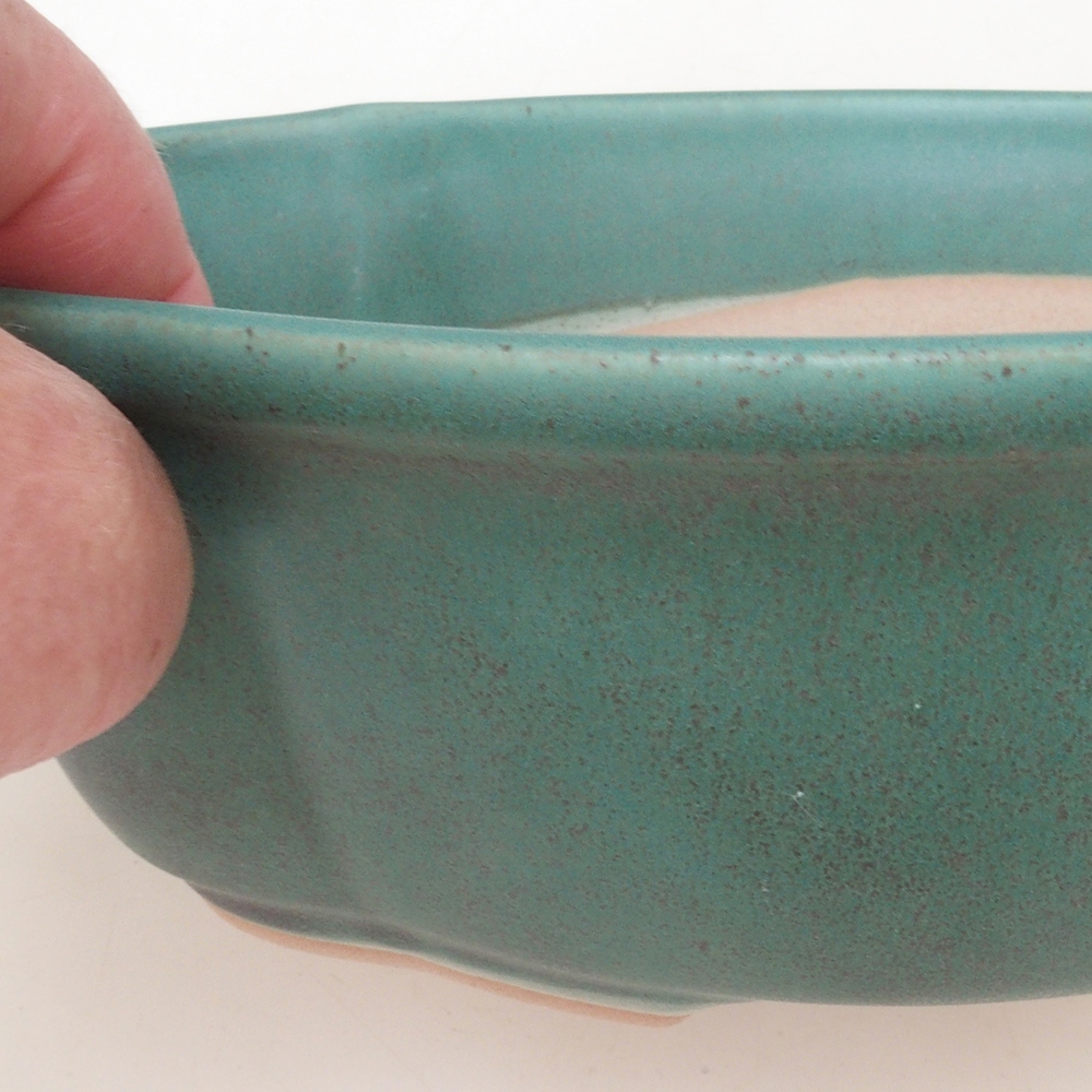 Bol à bonsaï H75 - 19 x 14 x 6,5 cm - vert