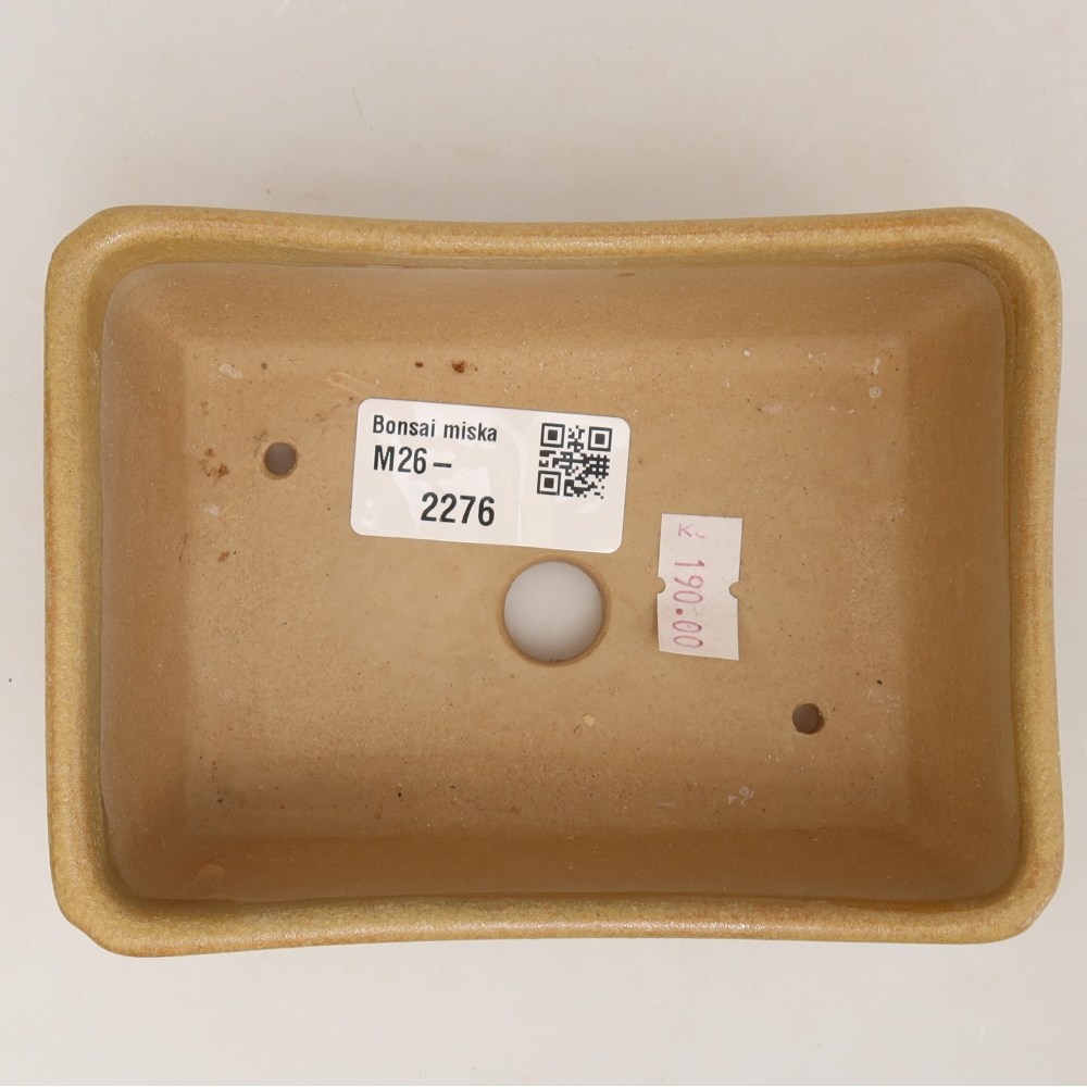 Pot à bonsaï en céramique 13 x 9 x 5 cm, couleur beige
