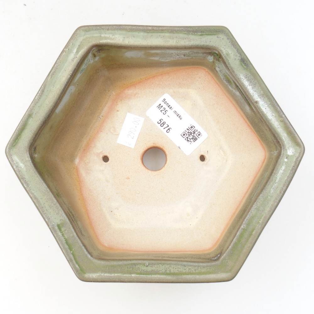 Bol à bonsaï en céramique 22 x 17 x 5 cm, vert