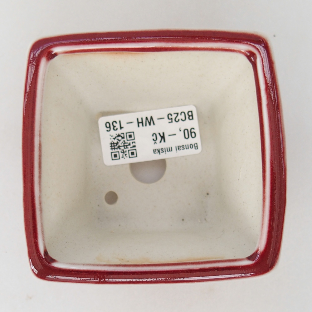 Mini bol bonsaï 8,5 x 8,5 x 6 cm, couleur rouge