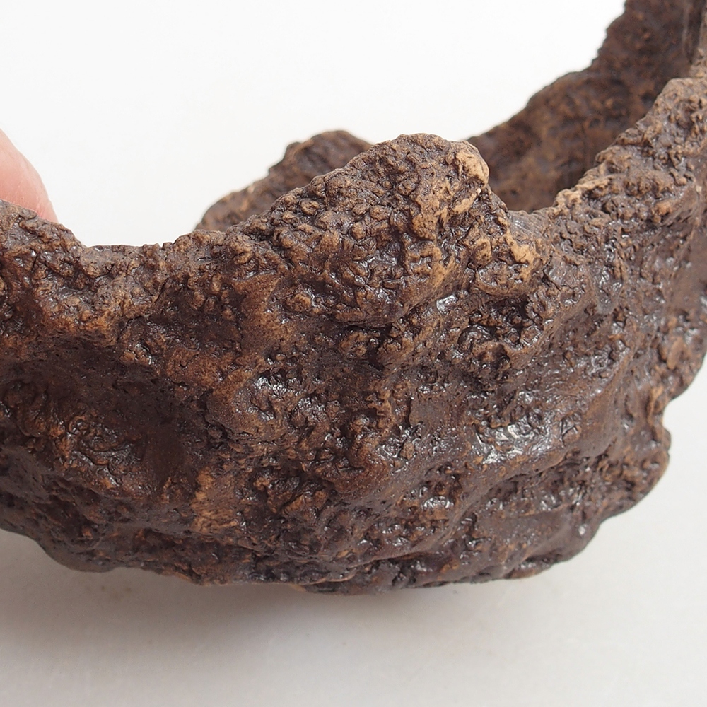 Coquille en céramique 13 x 11 x 11 cm , couleur marron