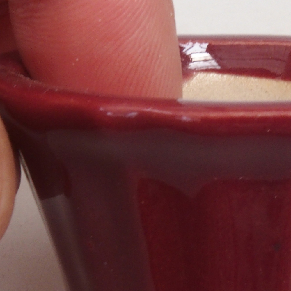 Mini bol bonsaï 5 x 5 x 2,5 cm, couleur bordeaux