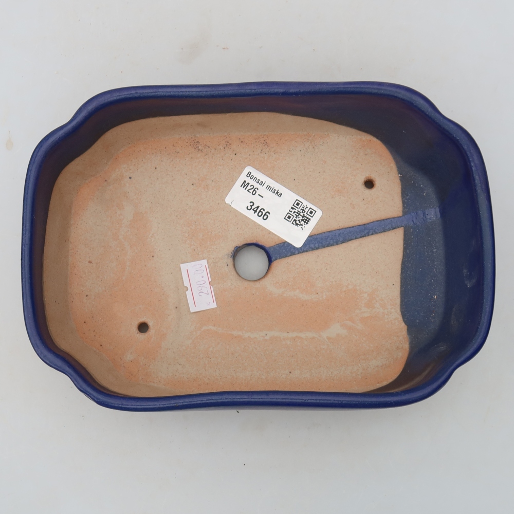 Pot à bonsaï en céramique 18,5 x 13 x 5 cm, couleur bleue