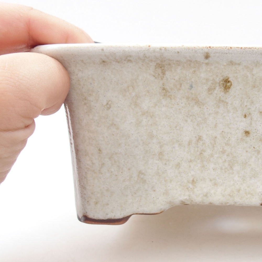 Bol à bonsaï en céramique 22 x 17 x 5 cm, vert