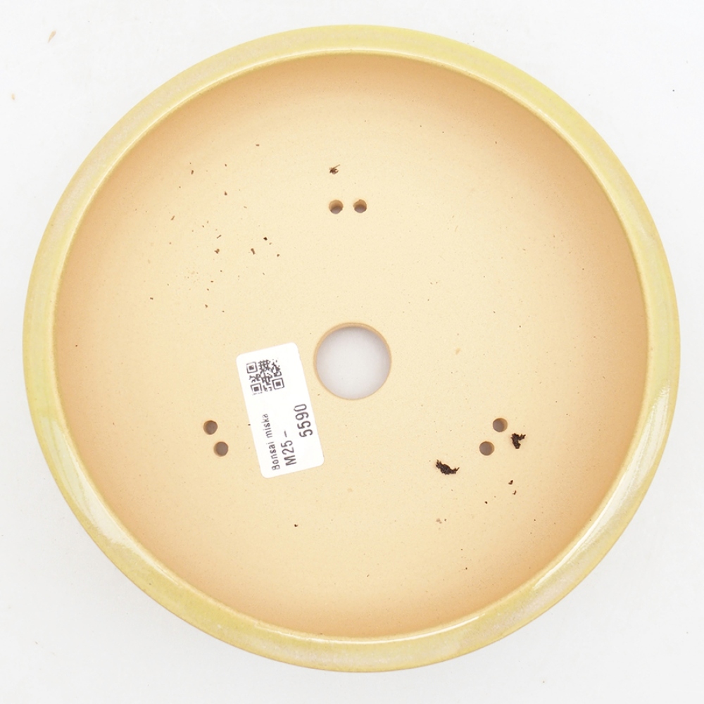 Bol à bonsaï en céramique 18 x 18 x 6 cm, vert