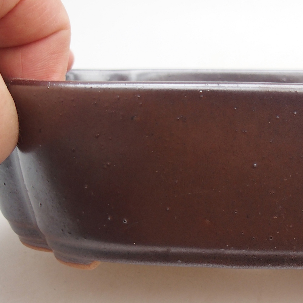 Bol à bonsaï en céramique 18 x 13 x 5 cm, brun