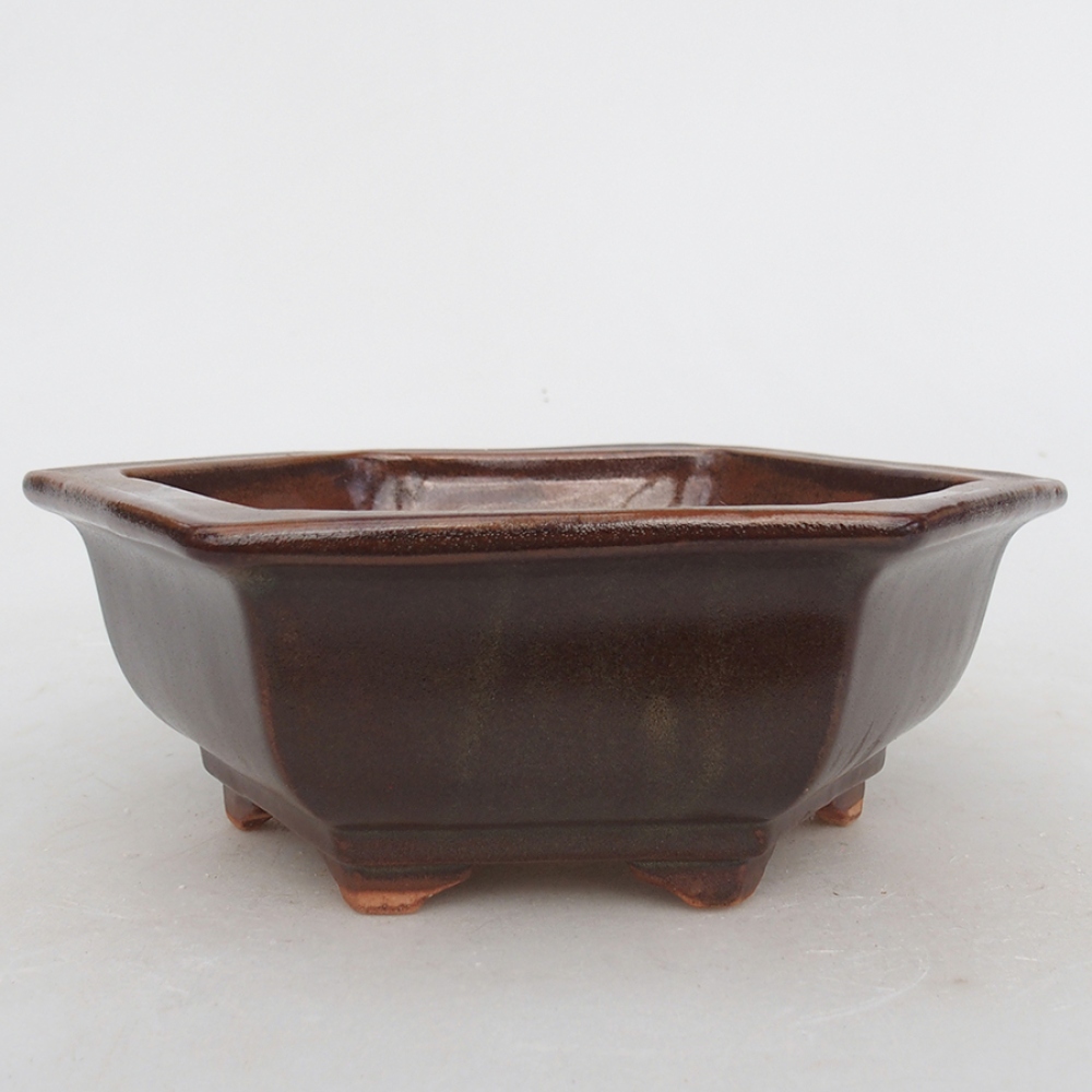 Bol à bonsaï en céramique 17 x 15 x 6 cm, brun