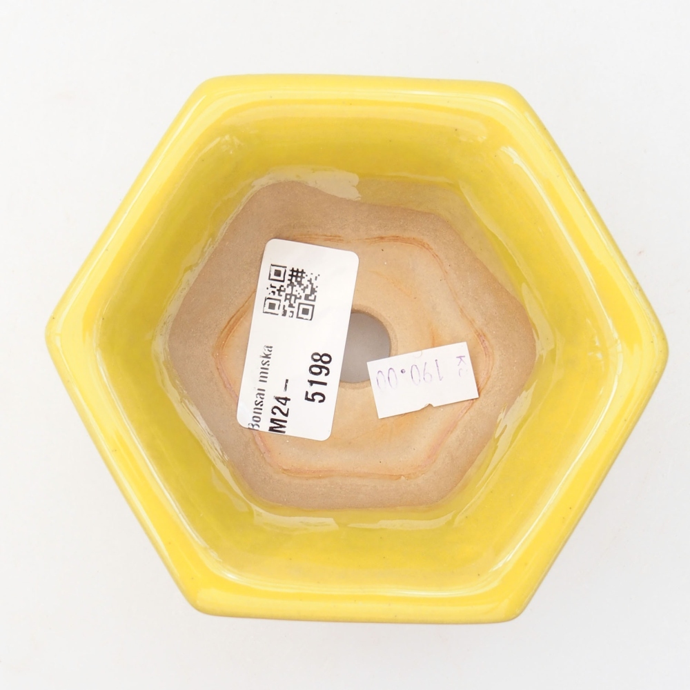 Bol à bonsaï en céramique 10,5 x 9,5 x 5,5 cm, jaune