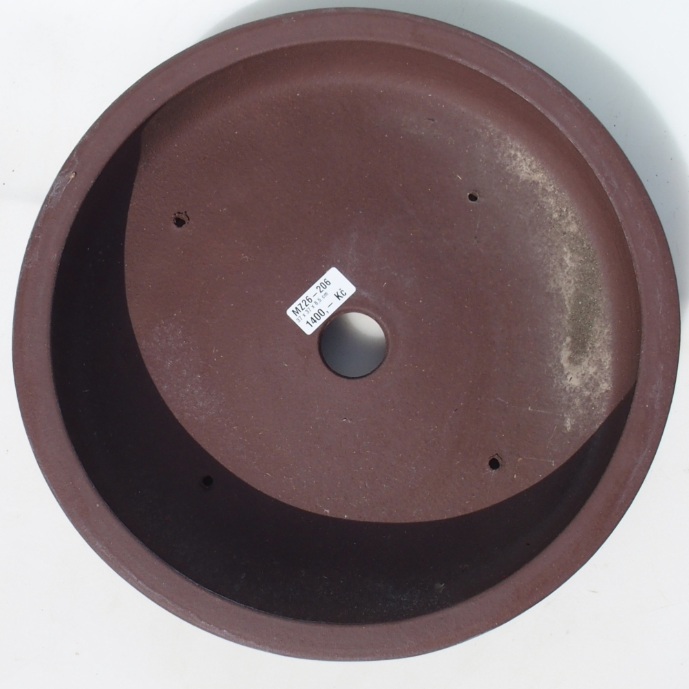 Bol pour bonsaï 37 x 37 x 8,5 cm bouleau brun