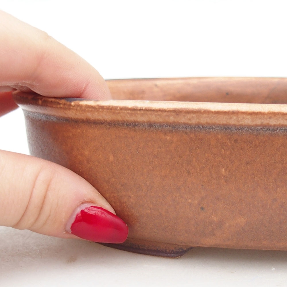 Bol à bonsaï en céramique 19 x 14 x 5 cm, brun