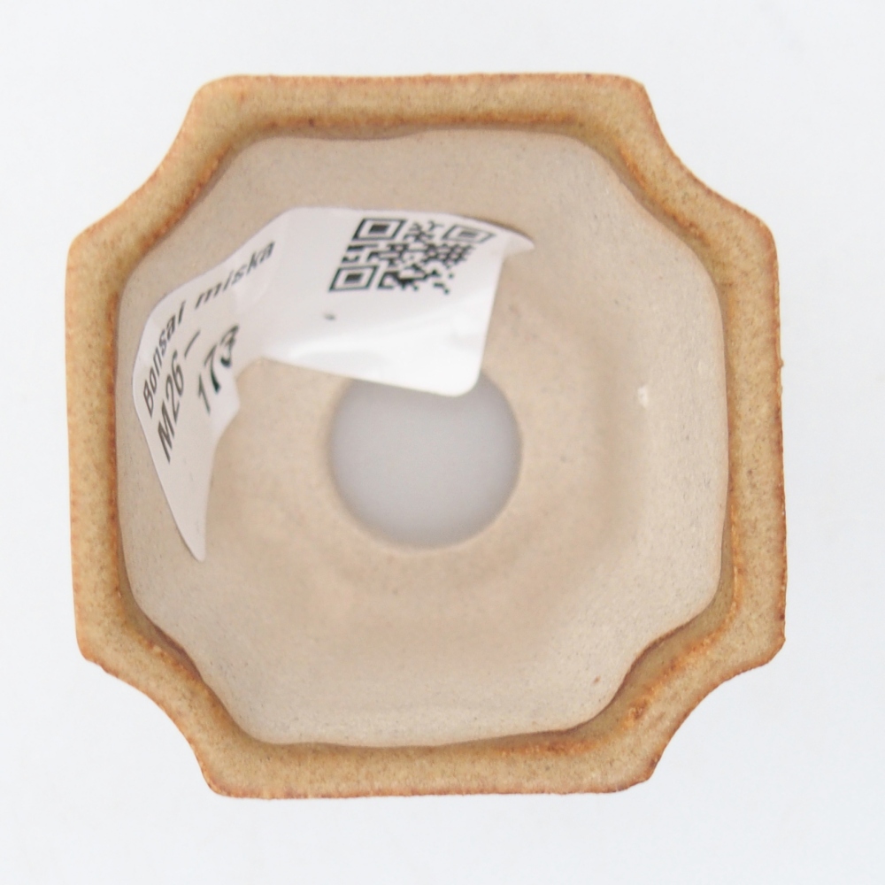 Mini bol bonsaï 4,5 x 4,5 x 4 cm, brun