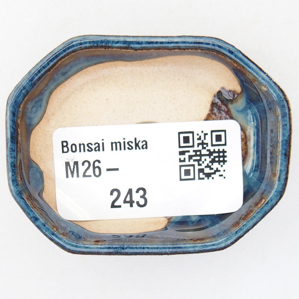 Mini bol bonsaï 5,5 x 4 x 1,5 cm, couleur bleu