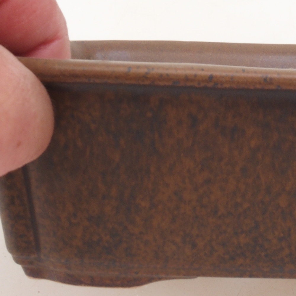 Bol à bonsaï H50 - 17 x 12,5 x 5,5 cm - brun