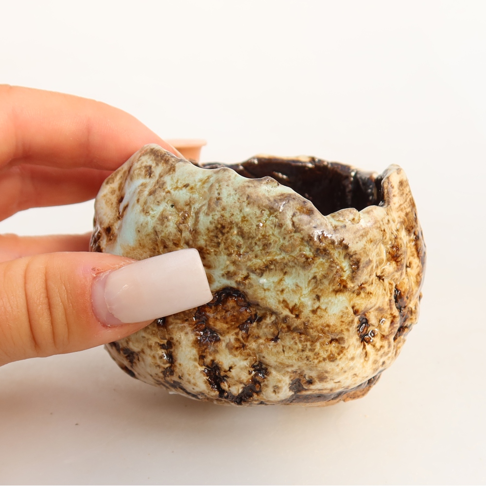 Coquille en céramique  7,5 x 7 x 5,5 cm, couleur blanc-brun