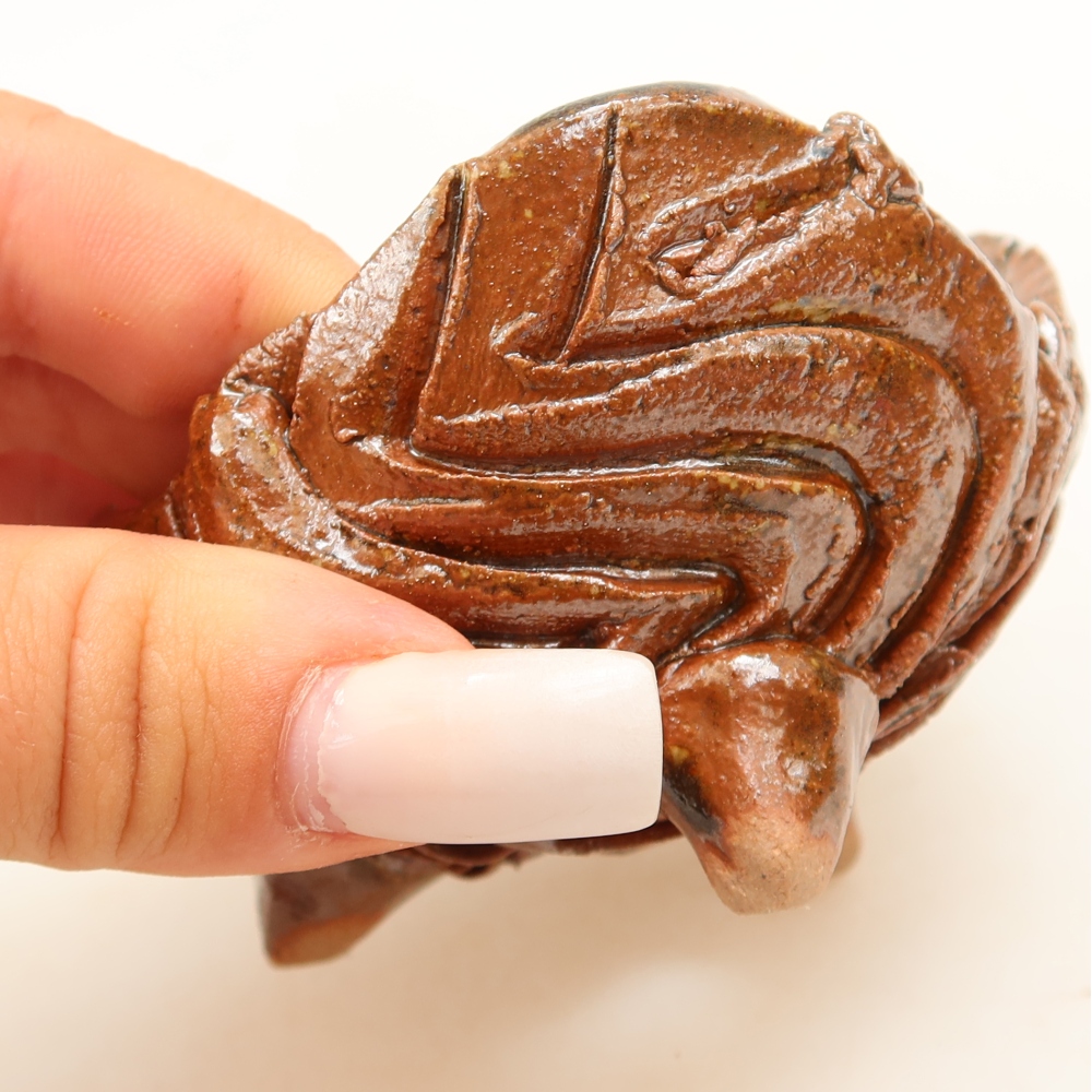 Coquille en céramique 8 x 8 x 5 cm , couleur marron