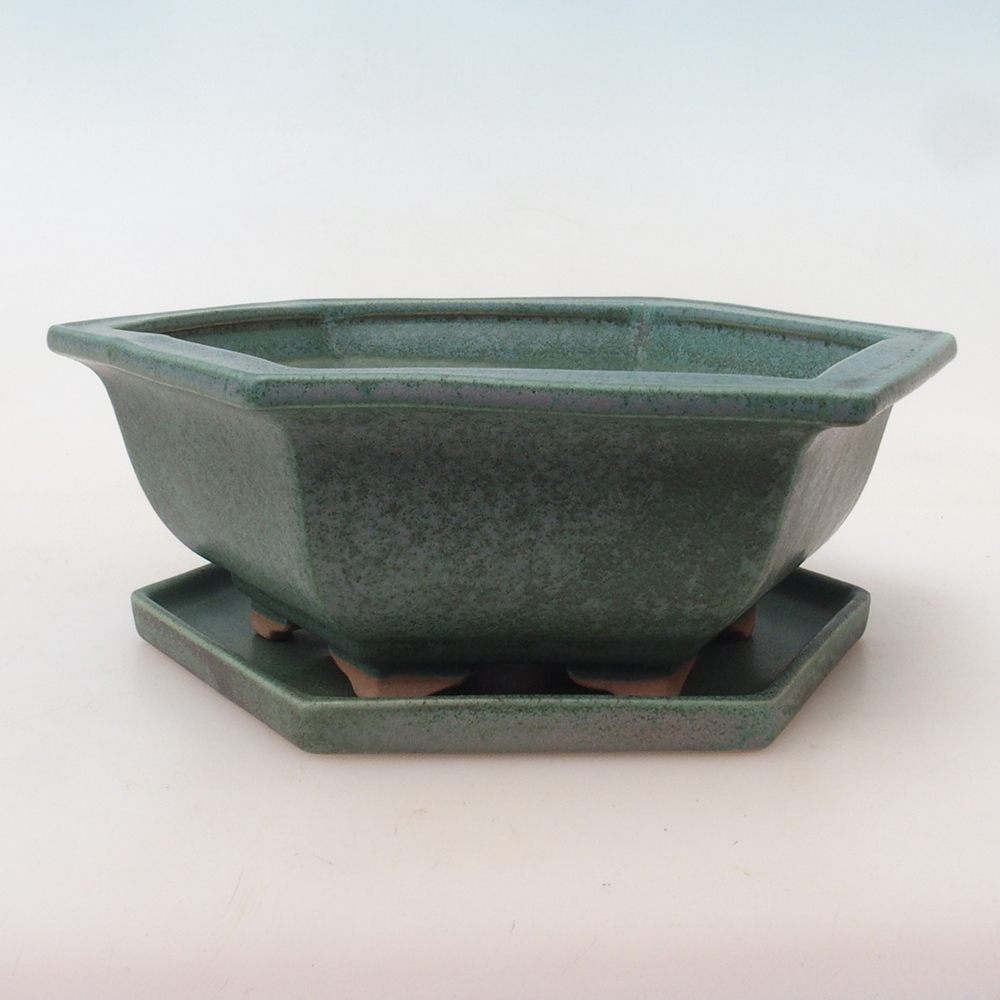 Bol Bonsaï + soucoupe H53 - 19 x 21,5 x 7 cm - vert
