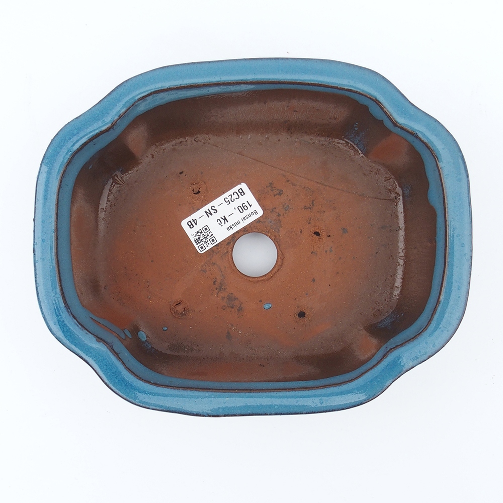 Bol 20 x 16 x 6,5 cm bleu