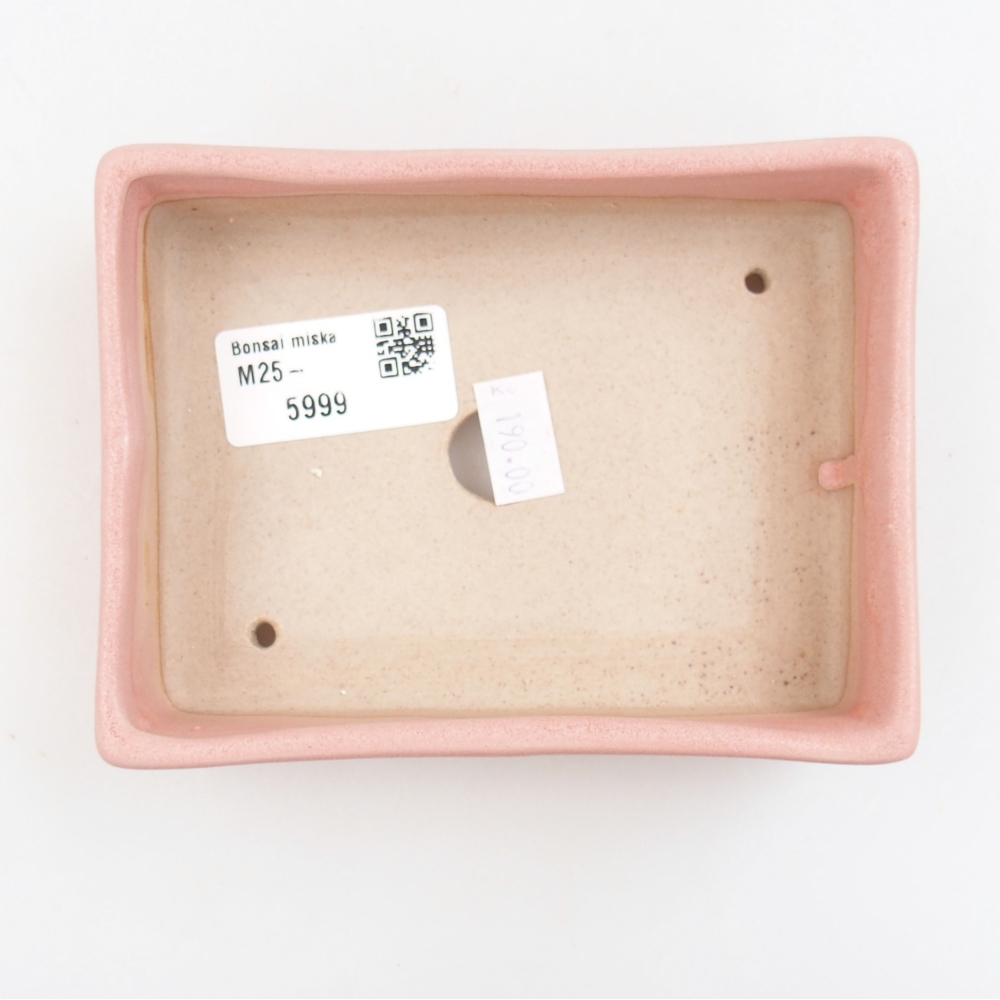 Bol à bonsaï en céramique 22 x 17 x 5 cm, vert