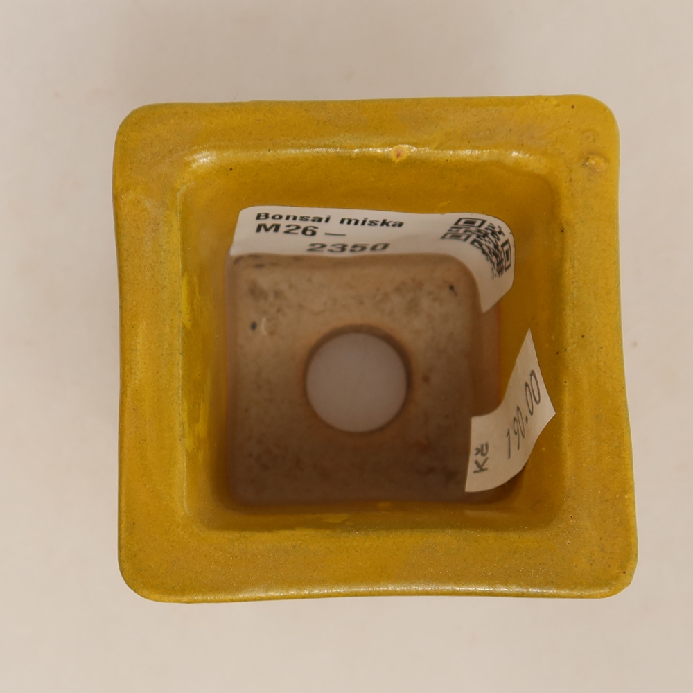 Pot à bonsaï en céramique 6 x 6 x 5,5 cm, couleur jaune