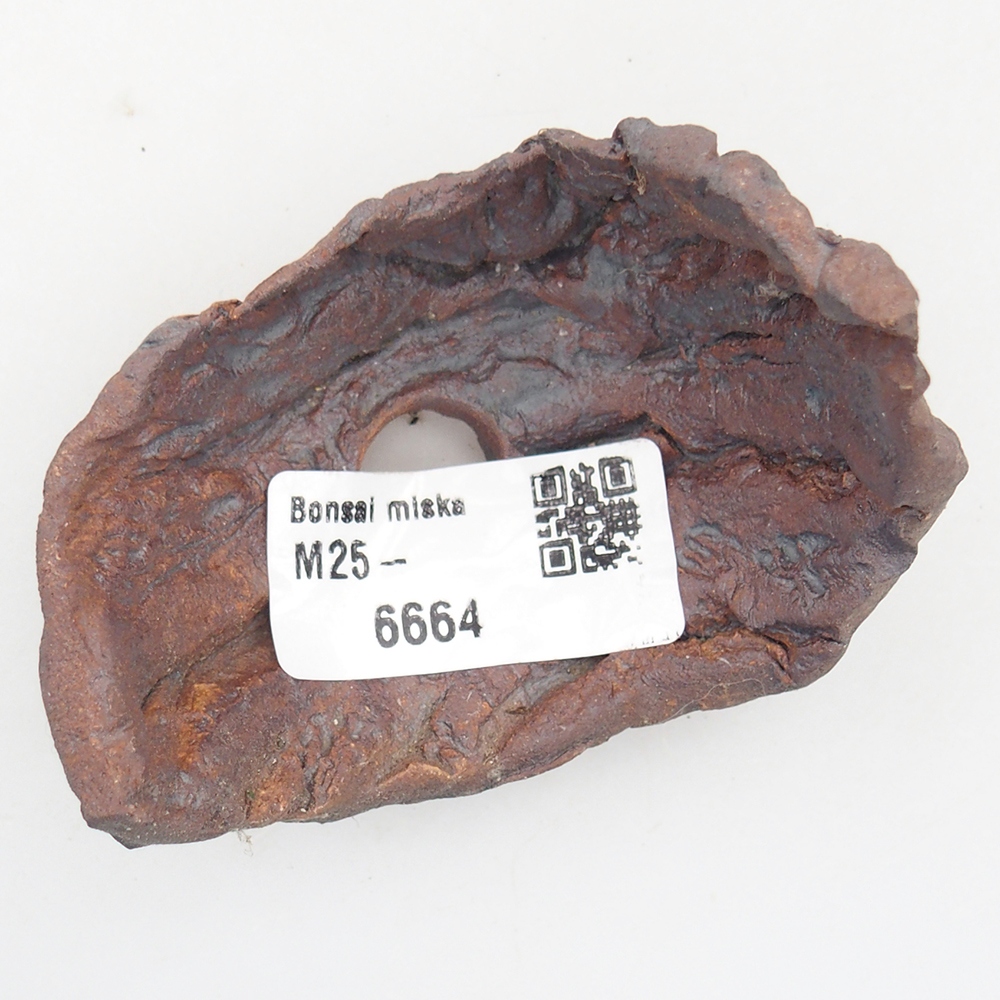 Coquille en céramique 7,5 x 5,5 x 6 cm , couleur marron