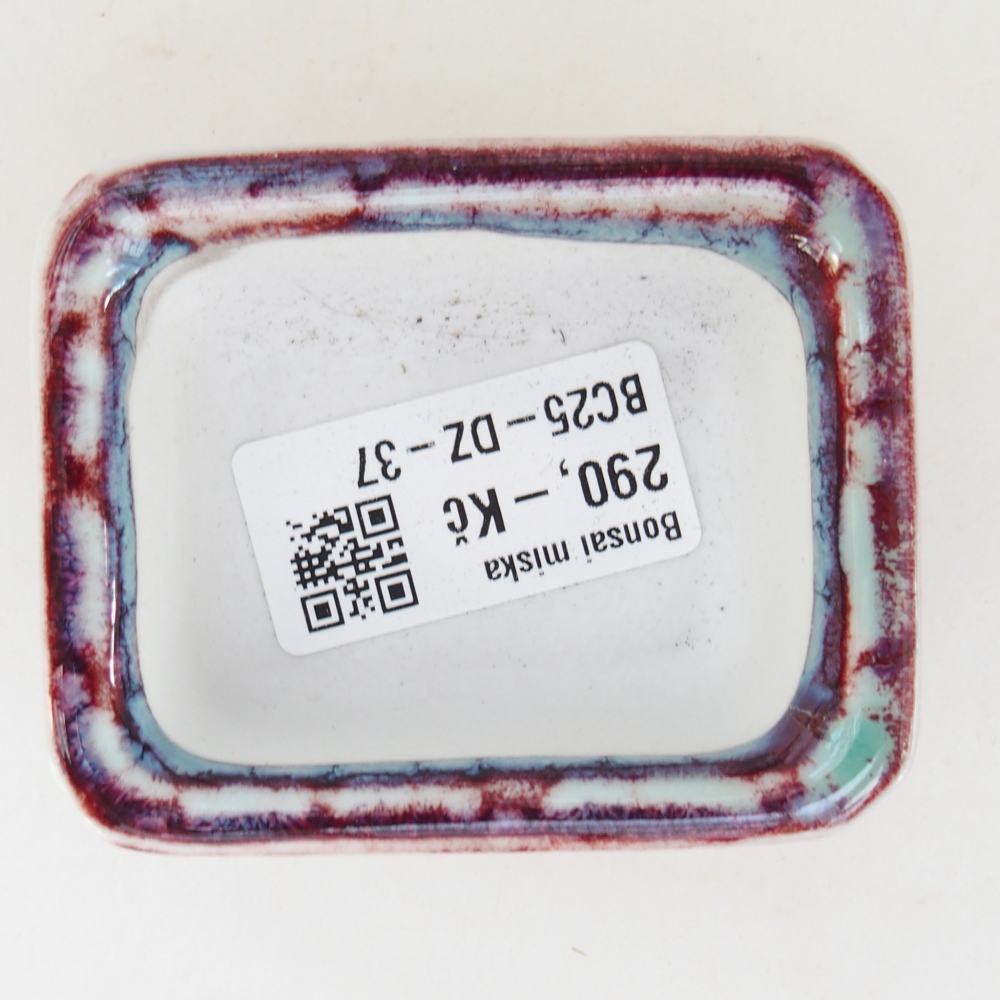 Mini bol bonsaï 7 x 5,5 x 3 cm, bordeaux