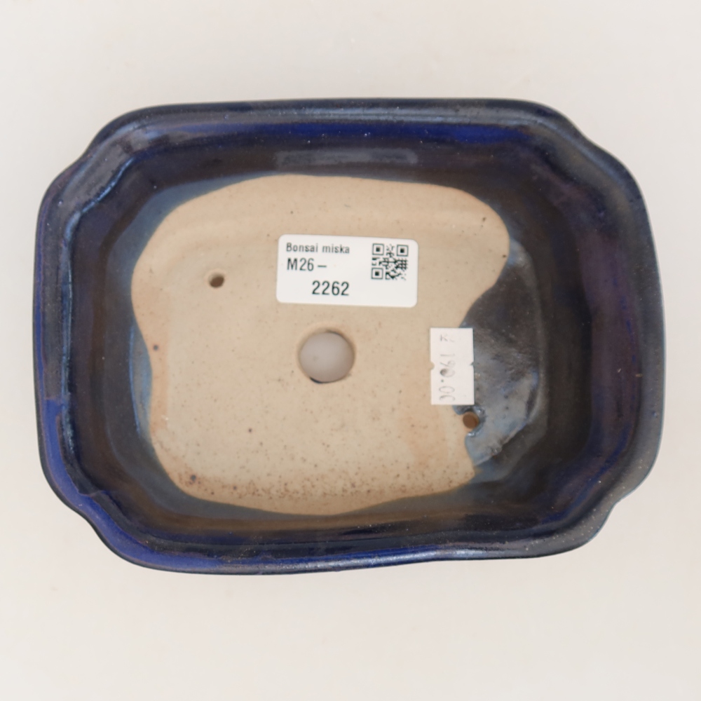 Bol à bonsaï en céramique 15,5 x 12 x 4,5 cm, couleur bleu