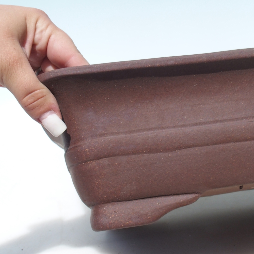 Bol pour bonsaï 39 x 32 x 10,5 cm bouleau brun