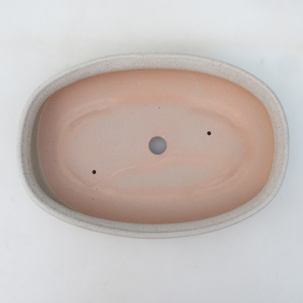 Coupe bonsaï H15 - 25,5 x 17,5 x 6 cm - beige