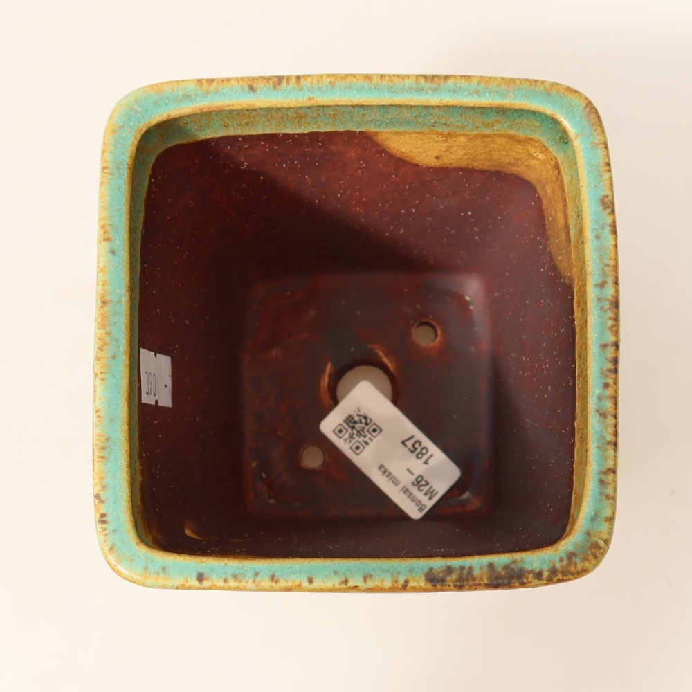 Pot à bonsaï en céramique 10,5 x 10,5 x 12 cm, couleur verte
