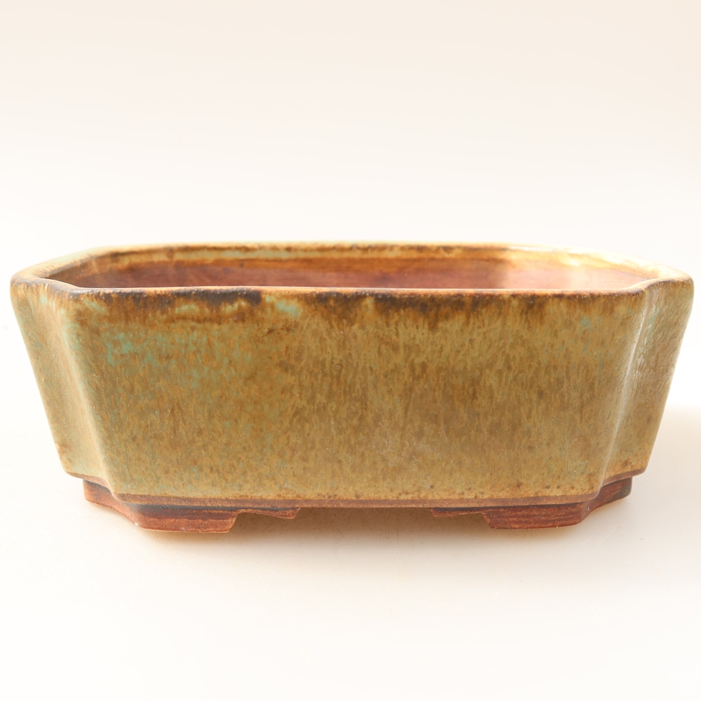 Pot à bonsaï en céramique 14 x 11,5 x 4,5 cm, couleur verte