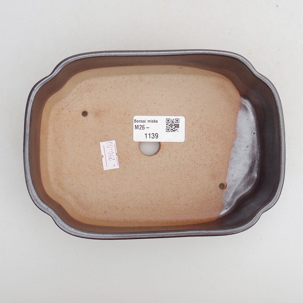 Bol à bonsaï en céramique 18 x 13 x 5 cm, brun